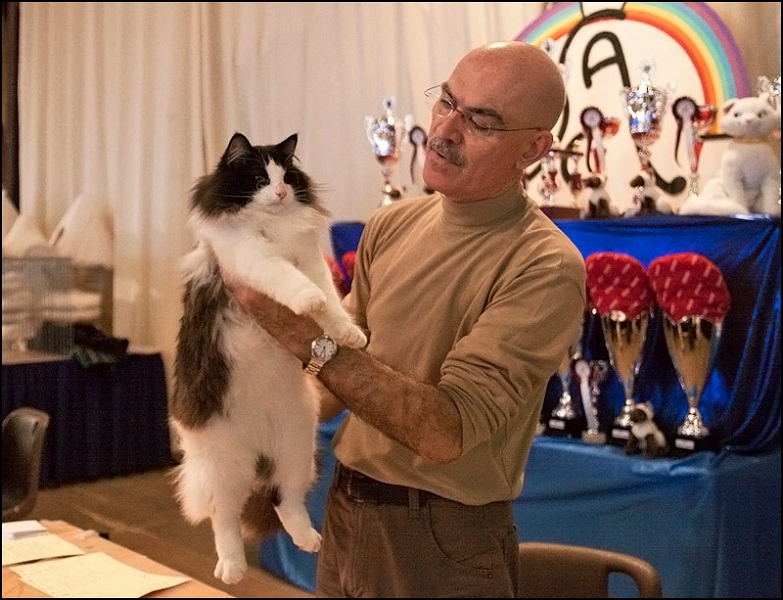 Ellboy du Soleil de Minuit 7.jpg - Ellboy du Soleil de Minuit